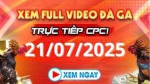 Xem lại video đá gà CPC1 ngày 21_07_2025 tại Daga88