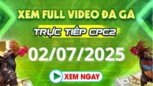 Xem lại video đá gà CPC2 ngày 02_07_2025 tại Daga88