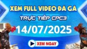 Xem lại video đá gà CPC3 ngày 14_07_2025 tại Daga88
