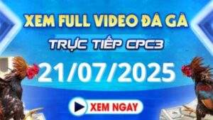 Xem lại video đá gà CPC3 ngày 21_07_2025 tại Daga88