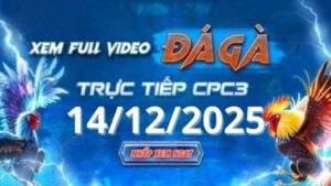 Xem Lại Video Đá Gà CPC3 Trực Tiếp Ngày 14/12/2025