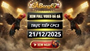 Xem Lại Video Đá Gà CPC3 Trực Tiếp Ngày 21/12/2025