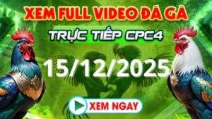 Xem Lại Video Đá Gà CPC4 Trực Tiếp Ngày 15/12/2025