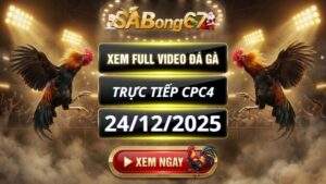Xem Lại Video Đá Gà CPC4 Trực Tiếp Ngày 24/12/2025