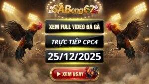 Xem Lại Video Đá Gà CPC4 Trực Tiếp Ngày 25/12/2025