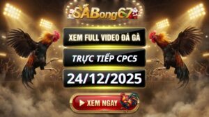 Xem Lại Video Đá Gà CPC5 Trực Tiếp Ngày 24/12/2025
