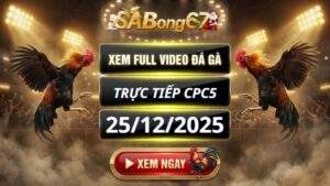 Xem Lại Video Đá Gà CPC5 Trực Tiếp Ngày 25/12/2025