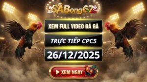 Xem Lại Video Đá Gà CPC5 Trực Tiếp Ngày 26/12/2025