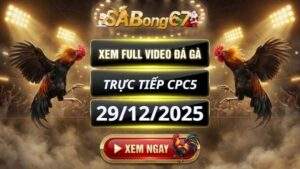 Xem Lai Video Da Ga CPC5 Truc Tiep Ngay 29122025 1 3
