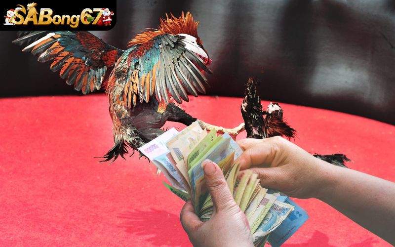 Luật đặt cược mọi bet thủ đề có thể ghi nhớ nhanh chóng Luật đặt cược mọi bet thủ đề có thể ghi nhớ nhanh chóng