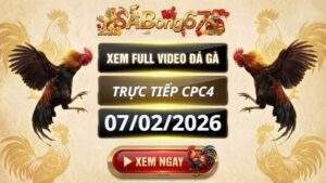 Xem Lai Video Da Ga CPC4 Truc Tiep Ngay 07022026 3