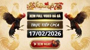 Xem Lai Video Da Ga CPC4 Truc Tiep Ngay 17022026 2