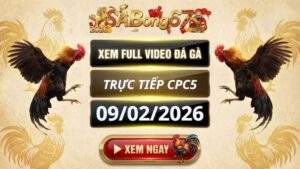 Xem Lai Video Da Ga CPC5 Truc Tiep Ngay 09022026 3