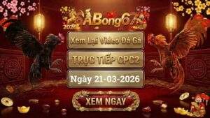 SABONG67 Xem Lai Video Da Ga CPC2 Truc Tiep Ngay 21032026