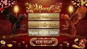 SABONG67 Xem Lai Video Da Ga CPC4 Truc Tiep Ngay 01032026 2